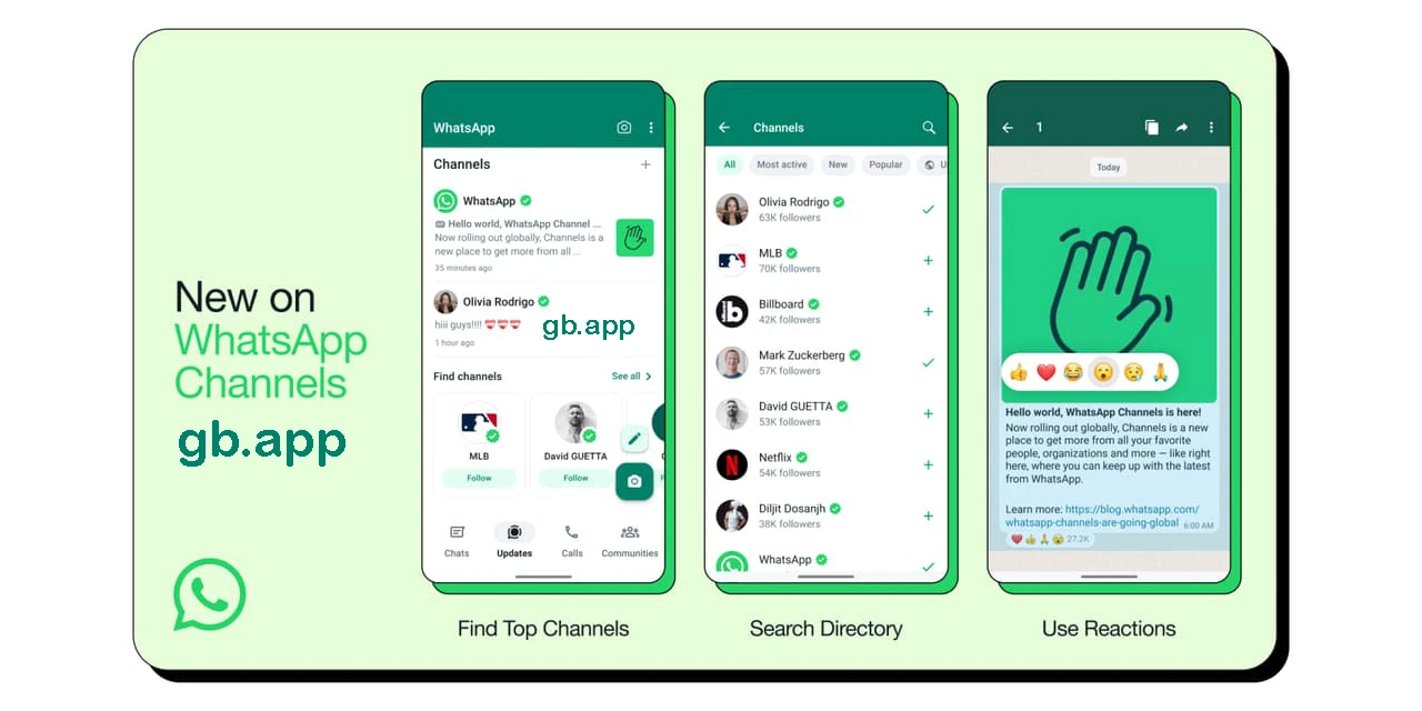 WhatsApp Channels