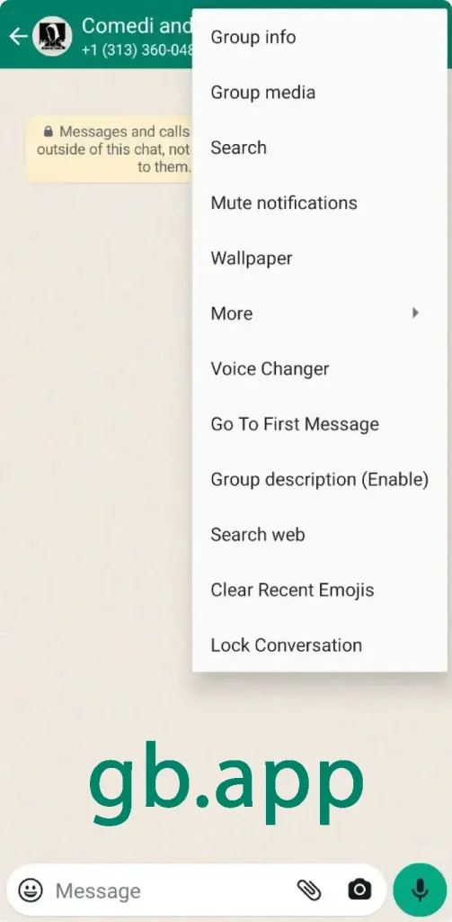 gbwhatsapp download Auto Reply