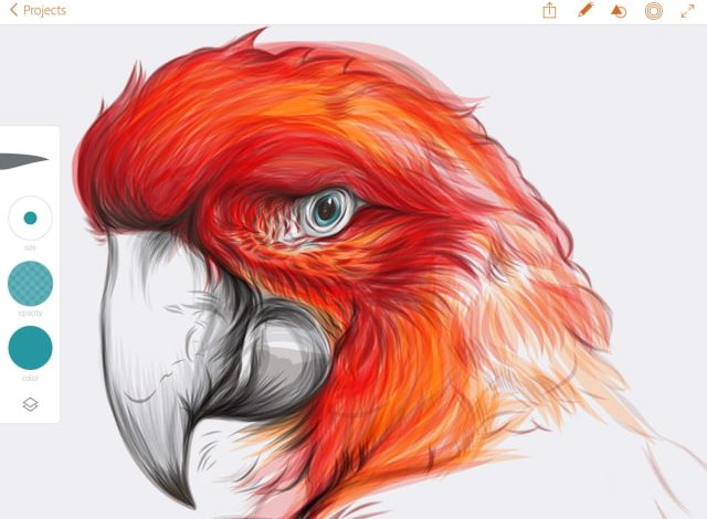 Adobe Illustrator Draw